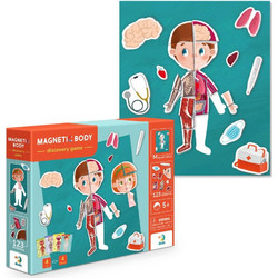 Dodo Magnetic Games Ανθρώπινο Σώμα