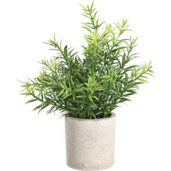 Τεχνητό Φυτό Σε Κασπώ 428029 Φ20x22cm Green Eglo Πλαστικό