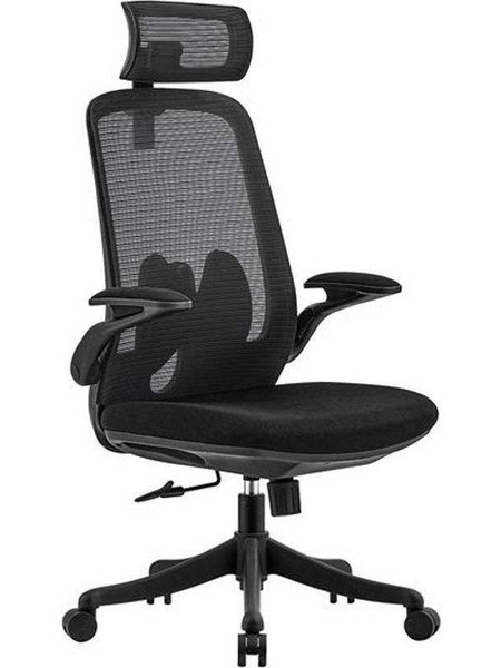 Woodwell BF3950 Καρέκλα Γραφείου Διευθυντική Μαύρη ΕΟ615,1
