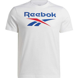 Reebok Big Stacked Ανδρικό Αθλητικό T-Shirt Λευκό 100071175