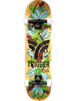 Trigger Complet Eden 8.0