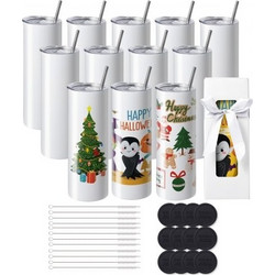 VEVOR 12 Πακέτο Ίσια Ποτήρια Sublimation, 591,5 ml Κενά Ποτήρια Χονδρικής, Ανοξείδωτα Διπλού Τοιχώματος Ποτήρια με Καλαμάκι, Καπάκι, Βούρτσα, Βάση, Θερμοσυρρίκνωση, Κουτί Δώρου, για Θερμοπίεση και Μετ