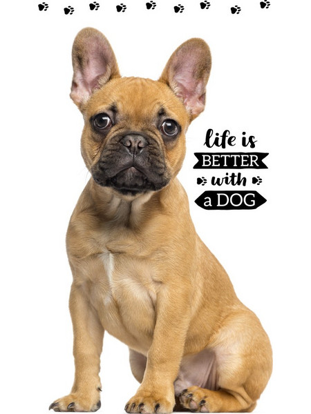 Dog Friend hand and face towel, towel 30x50cm