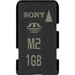 Sony Memory Stick Micro M2 1GB