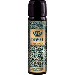 ΑΡΩΜΑΤΙΚΟ ΣΠΡΕΪ OUD SENSES FERAL 70ML