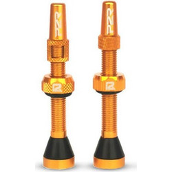 ΒΑΛΒΙΔΕΣ TUBELESS SET P2R TUBELESS VALVE FR-11C-AL - 46mm gold