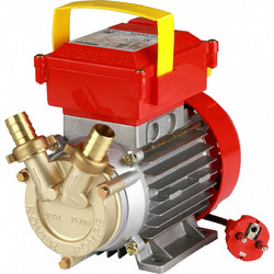 Rover Pompe 25 CE