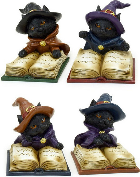 Black Cat Witch's Book of Spells assorted figure