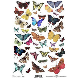 Ριζόχαρτο butterflies 1" 21x29εκ. (ITD-R230)