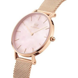 Daniel Wellington Γυναικείο Ρολόι με Ροζ Χρυσό Μεταλλικό Μπρασελέ DW00100516