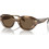 Emporio Armani EA4230U 614973 Ανδρικά Γυαλιά Ηλίου Οβάλ Κοκάλινα Ταρταρούγα με Καφέ Φακό