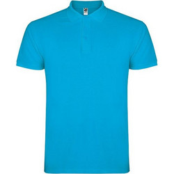 Roly Ανδρική Μπλούζα Polo Κοντομάνικη Μπλε PO6638