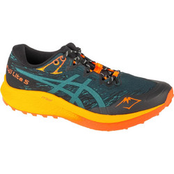 ASICS Fuji Lite 5 Ανδρικά Αθλητικά Παπούτσια για Τρέξιμο Πολύχρωμα 1011B889-300