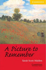 A Picture to Remember Level 2 A Picture to Remember Level 2