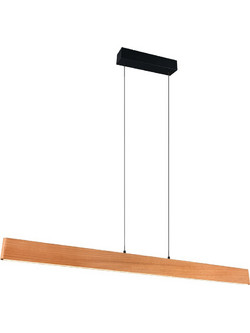 Trio Lighting Edgewood Κρεμαστό Φωτιστικό Οροφής Ράγα Μονόφωτο 359719130
