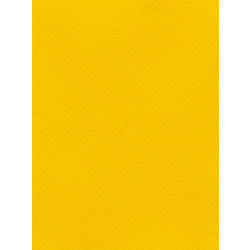 Favini Χαρτόνι Κανσόν Κίτρινο 70x100cm 831.70100.01T