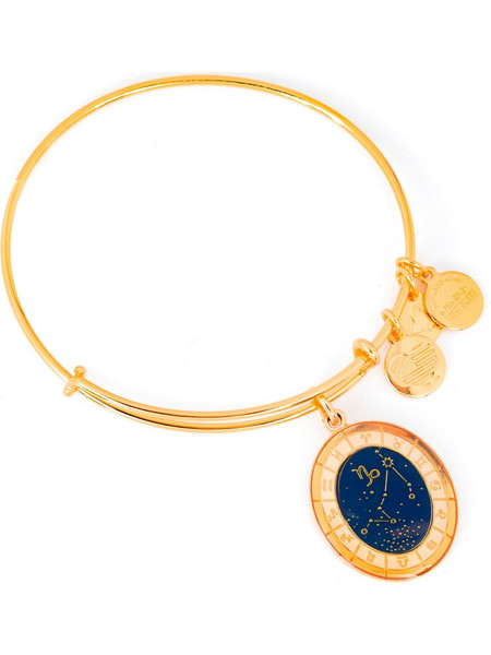 Alex and Ani Γυναικείο Βραχιόλι Βέργα Xρυσό A15EB61YG