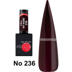 Kenzai 236 Call My Name Gel 15ml