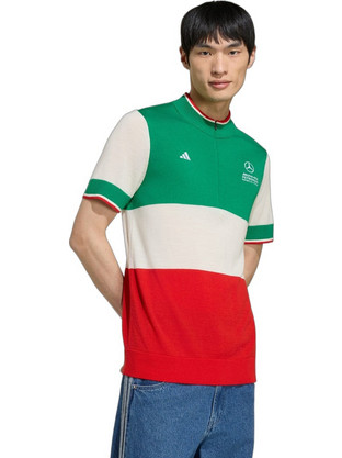 Adidas Mercedes AMG Petronas Formula Team Ανδρική Αθλητική Μπλούζα Polo Πολύχρωμη KE8326