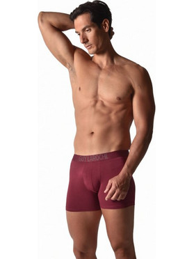 Guy Laroche Ανδρικά Μποξεράκια Σετ 2Pack Μπορντό GL-58114-226