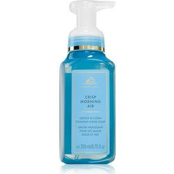Bath & Body Works Crisp Morning Air Κρεμοσάπουνο 259ml