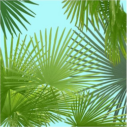 Χαρτοπετσέτες με σχέδια 33x33 εκατ. σετ 20 τμχ. Under the Palmtree