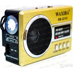 Waxiba XB-62BT Gold