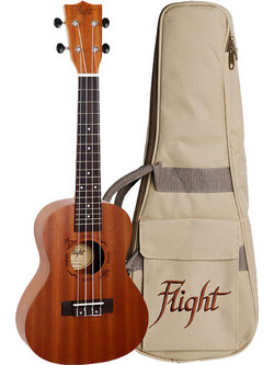 Flight NUC310 Concert Natural