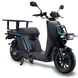 Electric Cargo Scooter