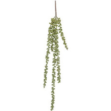 Τεχνητό Φυτό Bean Leave PT3645 60cm Green Present Time Πλαστικό