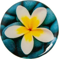 Flower On Stones
