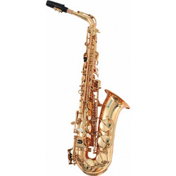 SOUNDSATION SALSX-20 Alto Eb & Case