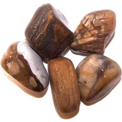 Απολιθωμένο Ξύλο (Petrified Wood)