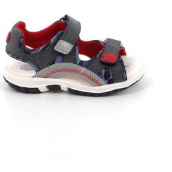 Chicco Παιδικά Πέδιλα για Αγόρι Navy Μπλε 69004-800