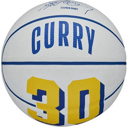 Wilson Player Icon Mini WZ4007401XB3