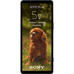 Sony Xperia 5 V 5G 128GB