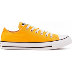 Converse Chuck Taylor All Star 167235C