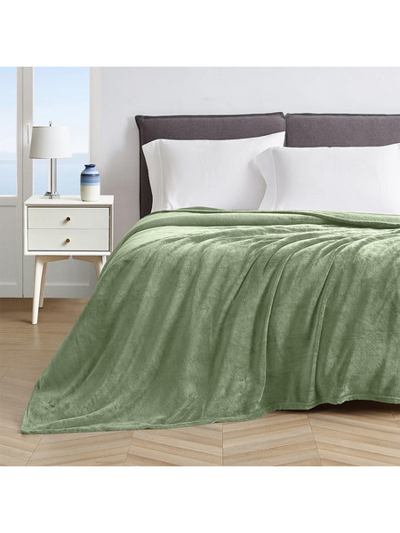 LINO ΚΟΥΒΕΡΤΑ ΒΕΛΟΥΤΕ PELLO MINT 220X240