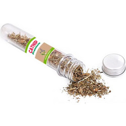 VALUE IMPORTS Catnip γάτας 20gr