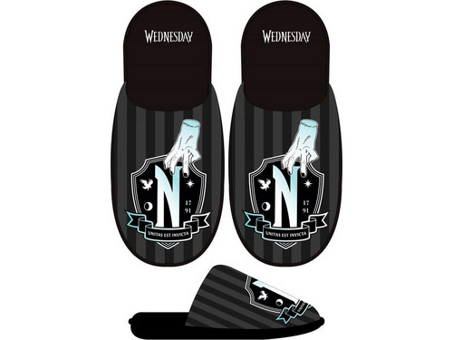 Wednesday adult slippers