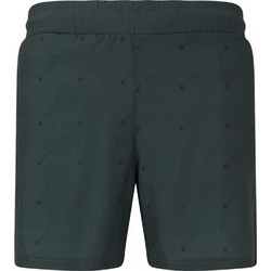 Virtus Σορτς Andrem M Logo Board Shorts Dusty Forest EV251843-3242