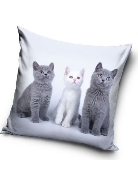Cat Trio decorative pillow cover 40x40 cm Velvet
