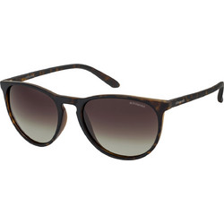 Polaroid Eyewear PLD6003/NS V08/LA Ανδρικά Γυαλιά Ηλίου Οβάλ Κοκάλινα Ταρταρούγα με Μαύρο Polarized Φακό