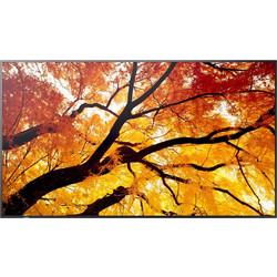 Sharp Public Display 65"