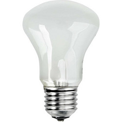 Elinchrom Adjsustment Light 196V 100W Ανταλλακτική Λάμπα Daylight 100W 23002