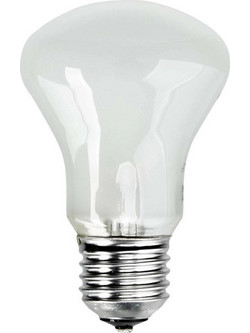 Elinchrom Adjsustment Light 196V 100W Ανταλλακτική Λάμπα Daylight 100W 23002
