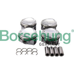 Borsehung B13584