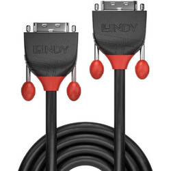 Lindy Cable DVI-D male - DVI-D male 1m Μαύρο (36251)