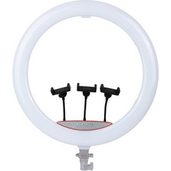 RGB LED Ring Light 56cm (22) με 3 Βάσεις Κινητού + Ρυθμιζόμενο Φωτισμό 3D-56 - RGB LED 22 Ring Light with 3 Phone Holders + Adjustable Lighting 030279