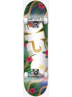 DGK Vacation Complete 8.25